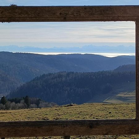 Sonnenstrahl Apartment Тодтмос Екстериор снимка