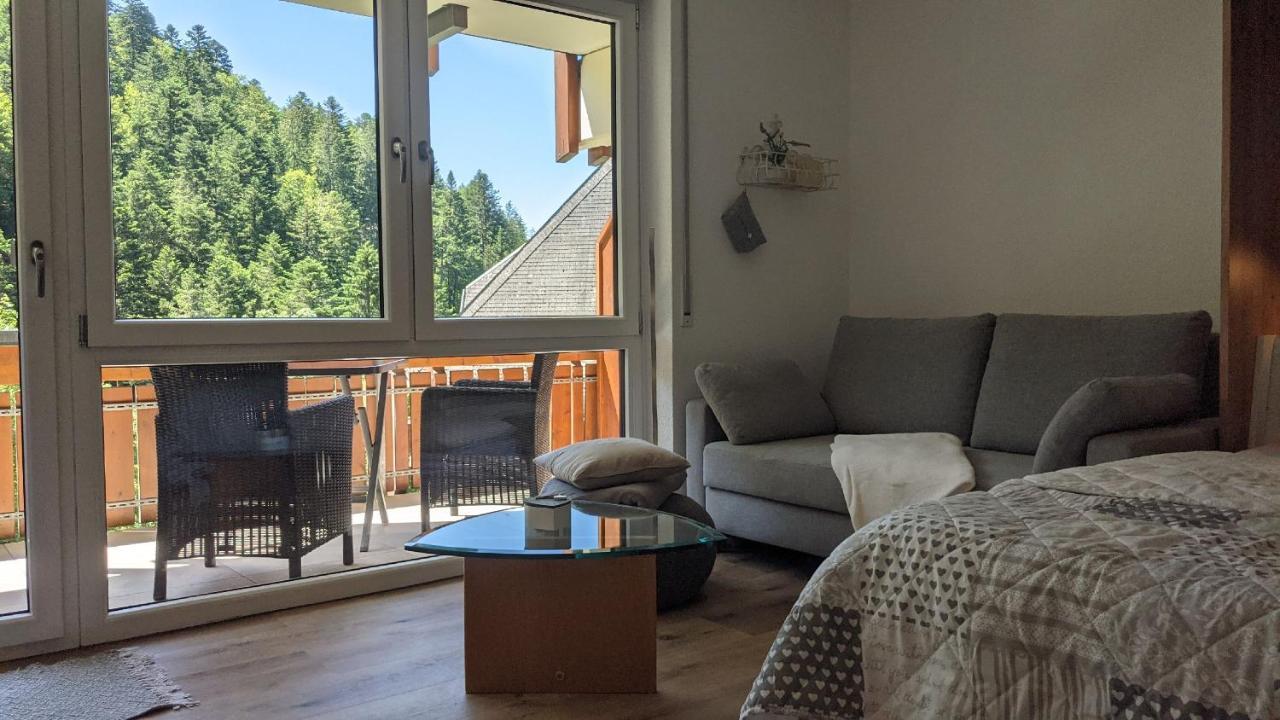 Sonnenstrahl Apartment Тодтмос Екстериор снимка