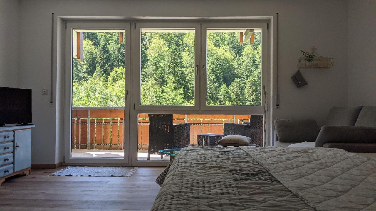 Sonnenstrahl Apartment Тодтмос Екстериор снимка